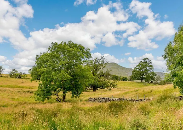 Camping 1 Bed In Oc-88961 *